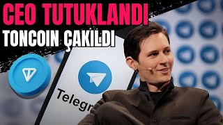 Ceo Tutuklandı Toncoin Çakıldı Cardano ve Algorand Birleşiyor Base Dawgzta Son Günler [upl. by Norda449]