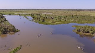 Pescaria de Piau no Pantanal  Programa Hora da Pesca  Pousada Reserva do Pantanal [upl. by Alue]