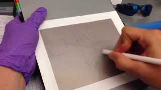 Writing Without Ink on a Mechanochromic Elastomer Film [upl. by Dlonyar466]