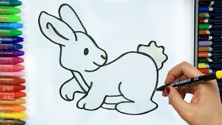 Come disegnare e colorare coniglio 🐰  Colori  Disegno  Colorare  Come colorare per bambini [upl. by Acired]