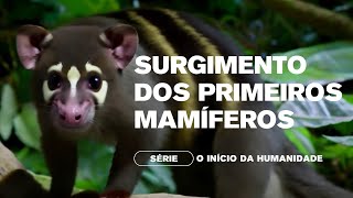 Surgimento dos Primeiros Mamíferos  Episódio 4 da Série O Inicio da Humanidade [upl. by Arreik538]