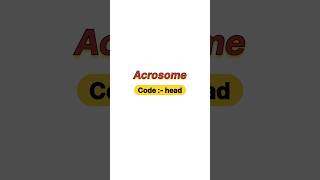 Acrosome [upl. by Lindbom]