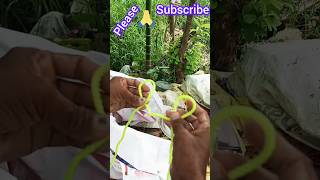 ropemaster shorts ytshots ropemagic mrdhyanmagic trendingshorts shortvideo knotmaster [upl. by Canotas]