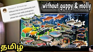 Different Fish Community tank  Aquarium fish  Tamil [upl. by Dlaregztif]