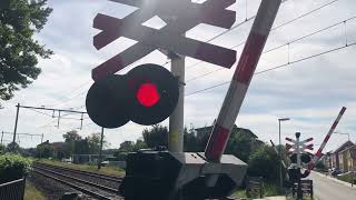 Spoorwegovergang Nieuwstadt  Dutch Railroad Crossing [upl. by Eerazed]