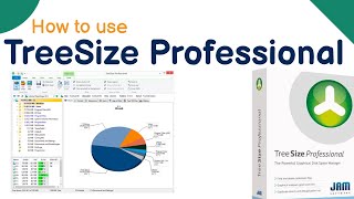 What is TreeSize Professional software  How to use  Tutorial in Hindi  Full explained  TreeSize [upl. by Airamesor]