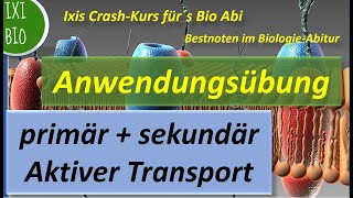 Transportvorgänge durch die Biomembran Stofftransport durch die Biomembran Biologie Oberstufe [upl. by Lukas]