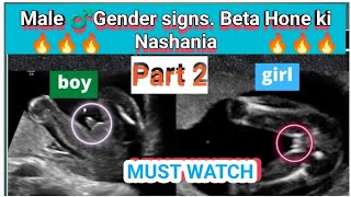 MALE GENDER SIGNS PART 2😎🔥 I BETA HONE KI NISHANIA IN URDU AND HINDI I [upl. by Lemahs]