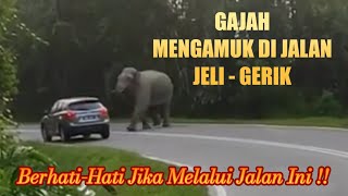 GAJAH MENGAMUK DI JALAN JELI  GERIK  BERHATIHATI JIKA MELALUI JALAN INI [upl. by Leuas844]