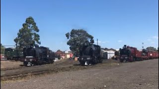 Steamrail Victorias Newport Open Day 2024 [upl. by Ratcliff150]