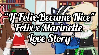 quotIf Felix Became Nicequot Miraculous Ladybug AU Felix x Marinette Episode 1 Song Muted [upl. by Airehc]