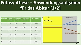 Fotosynthese  Anwendungsaufgaben für Klausuren das Abitur 12  Biologie Oberstufe [upl. by Alon]