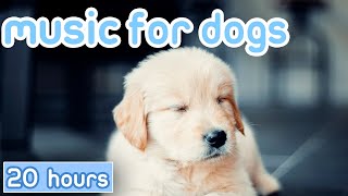 No Ads Music for Dogs 20 Hours of Gentle Calming Songs [upl. by Gahl696]