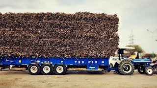 Extrem Heavy load ਗੱਨਾ pull  New Holland 3630  Medium ਵਾਲਾ ਜਹਾਜ  Tractoran ਦਾ ਰਾਜਾ 3630 [upl. by Taam]