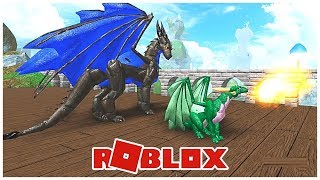 Roblox Dragons Life [upl. by Roselia426]