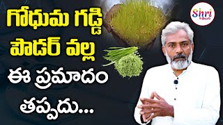 Wheatgrass Juice  Wheatgrass Powder  Health Benefits of Wheatgrass  Shritv Telugu [upl. by Kone]