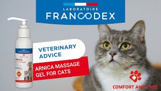 VETERINARY ADVICE  How to apply arnica gel on my cat  Francodex [upl. by Pallaton]