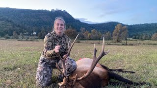 SW WA Muzzleloader elk hunt 2024 [upl. by Ynattib]