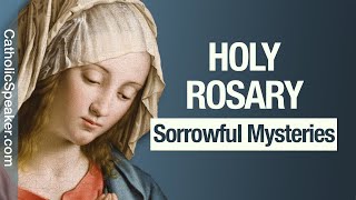 HOLY ROSARY  Sorrowful Mysteries Tuesday amp Friday Catholic [upl. by Aikat559]