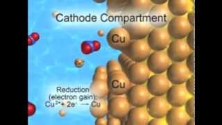 CuZn Electrochemical Cell Animation [upl. by Verdie986]