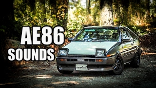 Ultimate Toyota Corolla AE86 Sound Compilation 2 [upl. by Routh765]