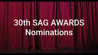 2024 SAG Awards Nominations Complete List [upl. by Akitnahs]