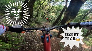 MTB NorCal Secret Trail 51223 [upl. by Nylloc]