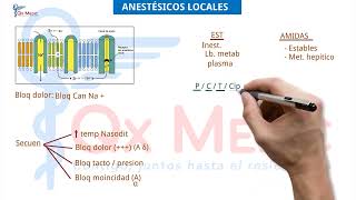 Anestesiología  4 Anestésicos locales [upl. by Ahsemrac]