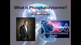 What Is Phosphatidylserine [upl. by Otrebilif880]