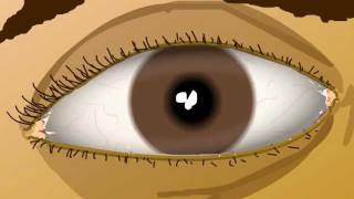 Animated eye exercises to improve your vision [upl. by Mcgill]