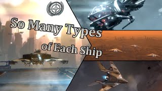 Star Citizen  Why do we Need so Many types of Each Ship [upl. by Adnilemre]