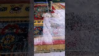 Carpet cleaning viralvideo shortvideo shortsfeed carpetcleaning [upl. by Hartill609]