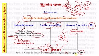 Anticancer Drugs  Alkylating Agents  Alkylating Agents Mechanism of Action as Anticancer Drugs [upl. by Aihsila971]