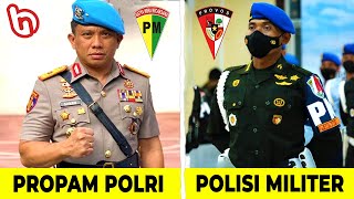 MANA LEBIH DISEGANI Seperti Inilah Perbandingan Tugas amp Fungsi PM vs Propam Indonesia [upl. by Nelan]