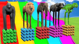 Long Slide Game With Elephant Gorilla Buffalo Hippopotamus Tiger  3d Animal Game  Funny 3d Animals [upl. by Yelsnit]