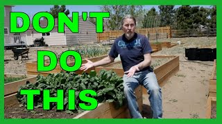 Lessons for Beginner Gardeners 9 Tips [upl. by Ewer]