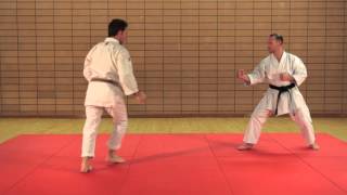 KARATÉ EXPERT  PASSAGE DE GRADES  Ippon Kumite  2e dan  niveau supérieur [upl. by Prader]