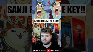 Sanji Saved The Strawhats  One Piece onepiecereaction onepiece reaction anime [upl. by Farman556]