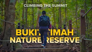 Solo Hiking at Bukit Timah Nature Reserve  Singapore Outdoor Adventures [upl. by Ahsitra]