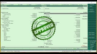 Detailed Balance Sheet TDL for Tally ERP9 [upl. by Annel]