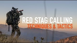 RED STAG CALLING TECHNIQUES amp TACTICS RED DEER [upl. by Suirred]