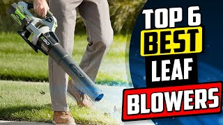 Best Leaf Blower  Top 6 Reviews 2023 Buying Guide [upl. by Ecyla]