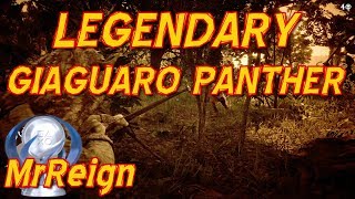 Red Dead Redemption 2  Hunting The Legendary Giagurao Panther  Panthers Eye Trinket [upl. by Yrocal]