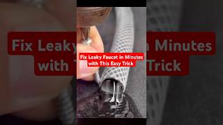 Fix Leaky Faucet in Minutes with This Easy Trick shorts short viral [upl. by Regni148]