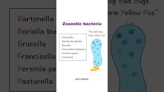 Quick Way to remember Zoonotic bacteria  mnemonics Easemedical [upl. by Marchelle]