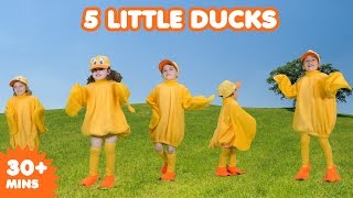 5 Little Ducks  Nursery Rhymes  Kids Songs [upl. by Yht]