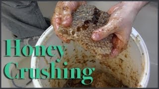 Spring Honey Harvest Crush and Strain in action [upl. by Suzette]