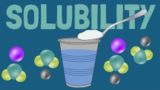 How Solubility and Dissolving Work [upl. by Grover279]