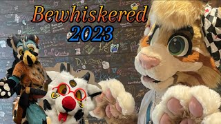 My first FURRY CONVENTION Bewhiskered 2023 [upl. by Kcaz]