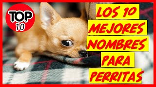 🚀 ▶︎Los 10 mejores Nombres para Perritas ✅ [upl. by Fernandez]